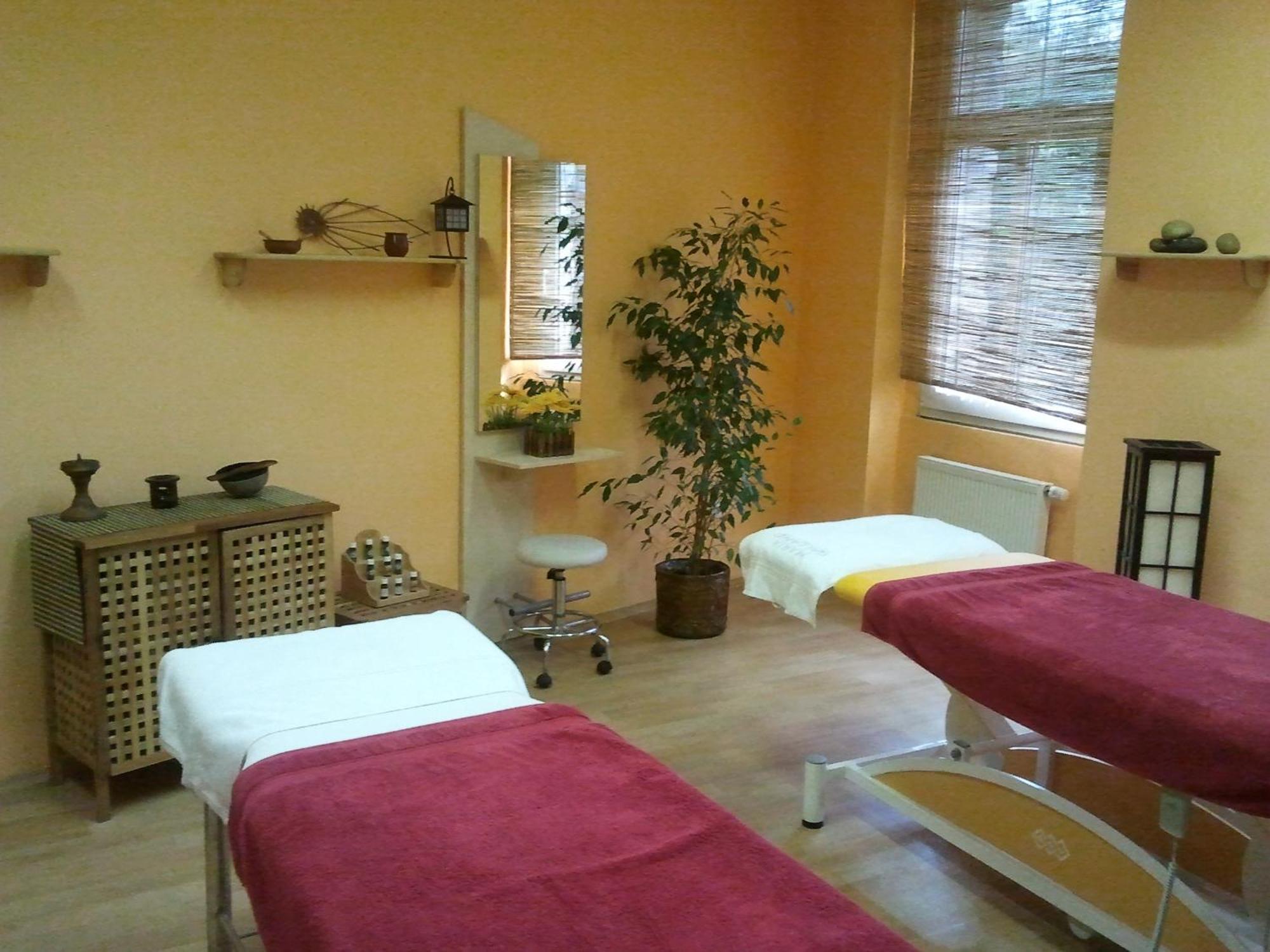 Saraya Wellness & Penzion Teplice Exterior foto